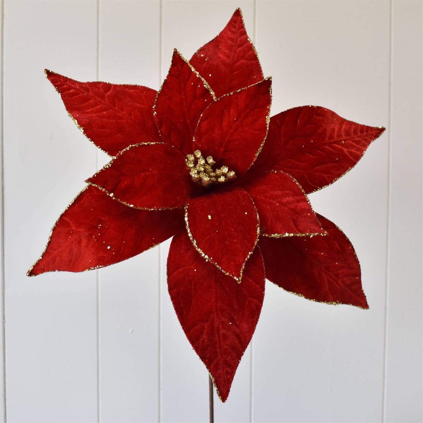 David Christopher's Collection - Jumbo Velvet Christmas Poinsettia Gold Glitter Edge Red/Gold