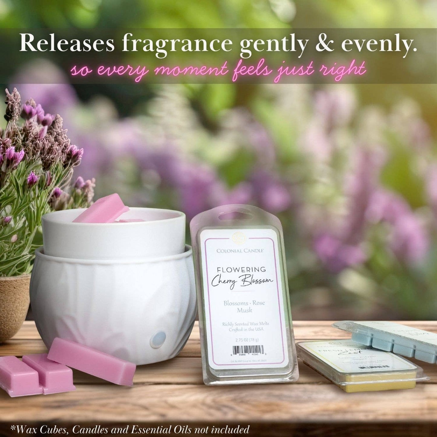 MVP Group International INC - Colonial Candle 3-in-1 Electric Warmer with Timer, Black